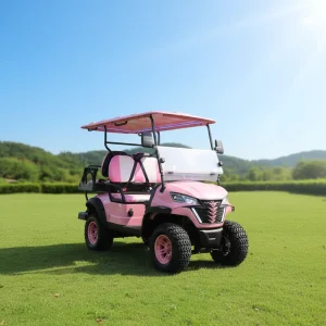 Customizable Lithium Electric 4 Seats Golf Cart 48 V with Color and Logo Design for Resort or Home Use