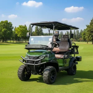 Customizable Lithium Electric 4 Seats Golf Cart 48 V with Color and Logo Design for Resort or Home Use