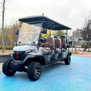 Customizable Lithium Electric 8 Seats Golf Cart 72 V with Color and Logo Design for Resort or Home Use