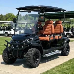 Customizable Lithium Electric Golf Cart 4 Forward Seats