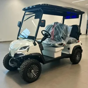 Customizable Lithium Electric Golf Cart 4 Seats 48 Volt