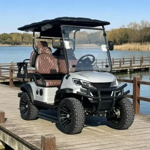 Customizable Lithium Electric Golf Cart 4 Seats 48 Volt