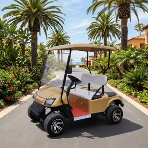 Customizable Luxury Design Street Legal Electric 2 Seater Golf Cart with 60V100A Battery
