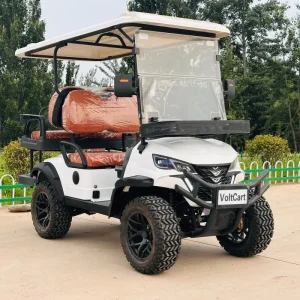 Customizable Seater Electric 60V Battery Power Golf Cart with 35KM/H Speed & 90km Range for Party Use