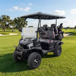 Customizable Solar Panel Electric Golf Cart 6 Seater Sightseeing Golf Scooter Off Road Club Car