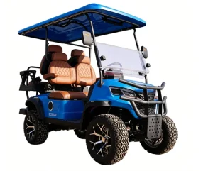 Customizable Street Legal 4 Seater Golf Cart for Residential Neighborhood Travel