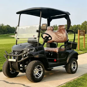 Customized 2 Seat Electric Golf Cart with Beige Color for Retirement Community