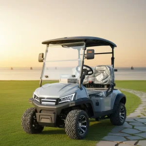 Customized 2 Seater Golf Carts Adults Street Legal Electric Cart Golf Buggy with Folding Backseat