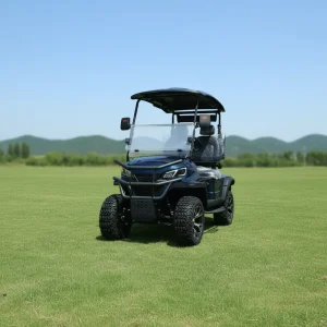 Customized 2 Seater Golf Carts Adults Street Legal Electric Cart Golf Buggy with Folding Backseat for Home and Sightseeing