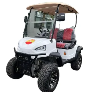 Customized 2-Seater Street-Legal Golf Cart with Ergonomic Features