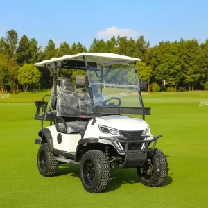 Customized 4-Seater Electric Golf Cart 48V Lithium Battery 5kW GCC Certified Electric Golf Cart