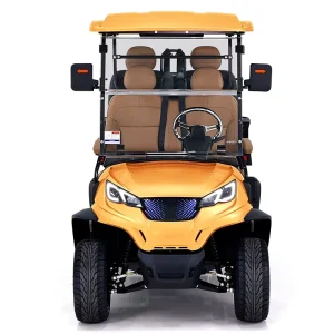 Customized 4 Seater Electric Golf Cart with 48V AC Motor and Lithium Battery Compatible with Club Car for Sightseeing and Hunting