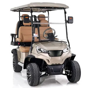 Customized 4 Seater Electric Golf Cart with 48V AC Motor and Lithium Battery for Sightseeing and Hunting