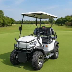Customized 5kW Motor 4 Seater 48V Lithium Battery Powered Electric Golf Cart CE Approved Club Sightseeing Car
