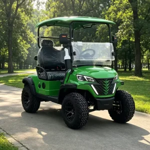 Customized 5kw Motor 2 Seats 48V Lithium Battery Powered Electric Golf Cart CE Approved Club Sightseeing Car