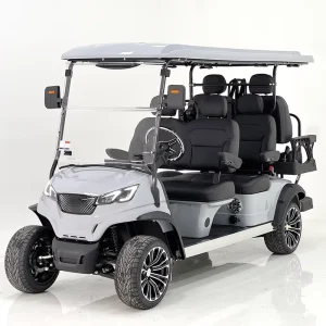 Customized 6 Seater Electric Golf Cart with AC Motor and 48V Lithium Battery for Sightseeing and Hunting