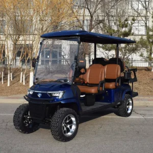 Customized 72V Lithium Battery Golf Car 6 Seater Electric Golf Cart Club Electric Golf Cart
