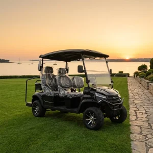 Customized Color Electric Golf Cart Dune Buggy Lithium Battery 25 Grade Ability 30-50Km/h Speed 90km Range 3-4 Seats