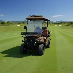 Customized Electric Golf Cart 4 Passenger Lithium Battery Off Road for Sightseeing and Golf Course