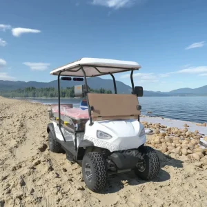 Customized Electric Golf Cart 4 Seater Lithium Battery Powered Club Car Style Golf Buggy