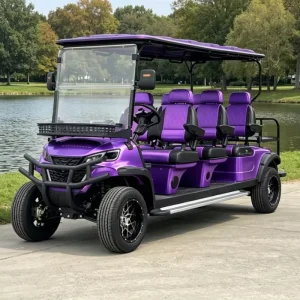 Customized Electric Golf Cart 6 Forward Seats Lithium Battery Street Legal Certified for Sightseeing and Golf Course