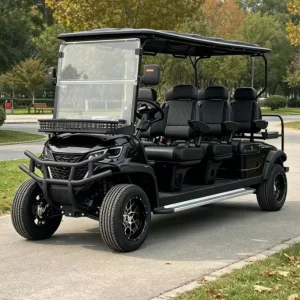 Customized Electric Golf Cart 6 Seats Lithium Battery Street Legal Certified Classic Model for Sightseeing and Golf Course