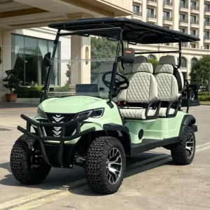 Customized Electric Golf Cart 6 Seats Lithium Battery Street Legal Certified for Sightseeing and Golf Course