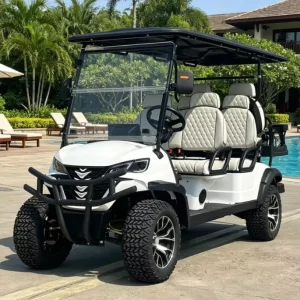 Customized Electric Golf Cart 6 Seats Lithium Battery Street Legal Certified for Sightseeing and Golf Course