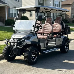 Customized Electric Golf Cart 6 Seats Lithium Battery Street Legal Off-road Buggy Metallic Gray for Sightseeing and Golf Course