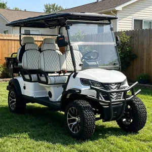 Customized Electric Golf Cart 6 Seats Lithium Battery Street Legal with Foldable Seats for Sightseeing and Golf Course
