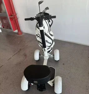 Customized Electric Golf Cart Auto-cruise Smart Following Golf Trolley for Golf Clubs and Courses