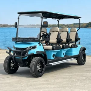 Customized Electric Golf Cart Six Forward Seats Lithium Battery Street Legal Certified for Sightseeing and Golf Course