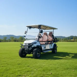 Customized Electric Golf Cart Six Seats Lithium Battery Street Legal Certified Model for Sightseeing and Golf Course