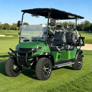 Customized Electric Golf Cart Six Seats Lithium Battery Street Legal Certified for Sightseeing and Golf Course