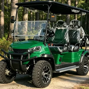 Customized Electric Golf Cart Six Seats Lithium Battery Street Legal High end Minimalist Green for Sightseeing and Golf Course
