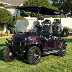 Customized Electric Golf Cart Six Seats Lithium Battery Street Legal Minimalist Purple for Sightseeing and Golf Course