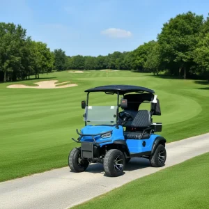 Customized Golf Cart 48v Golf Scooter 2 Passenger Vehicles Electric Lithium Used Golf for Sightseeing and Golf