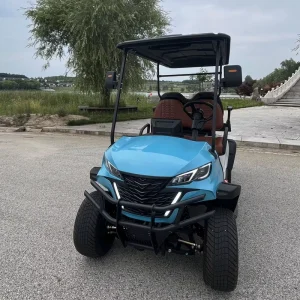 Customized Golf Cart Street Legal With Lithium Battery 2+2 Seater Electric Golf Cart for non public road