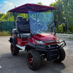 Customized Golf Carts Electric 2 Seater Off Road Electric Golf Cart 60v Medical Golf Cart