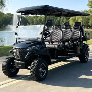 Customized Lithium Electric 8 Seats Golf Cart 72 V with Color and Logo Design for Resort or Home Use