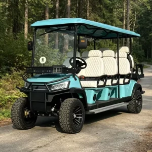 Customized Lithium Electric Golf Cart 8 Seats 72 V