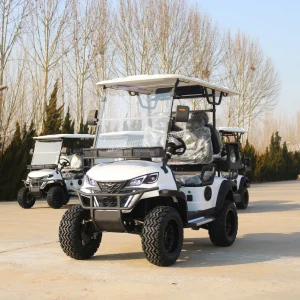 Customized Luxury Performance 4 Seats Off Road Solar Powered Lithium Battery 90km Range Electric Cart Golf Cart