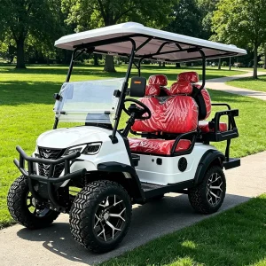 Customized NEV Neighborhood 4 Seat Electric Golf Cart for Street Community