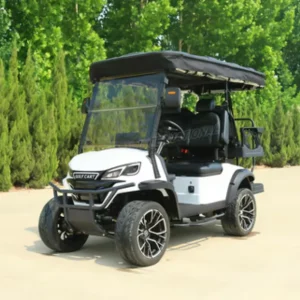 Customized New Model DOT Certified Street Legal 4 Seater 48V Lithium 5kw Motor Electric Golf Cart for Golf Courses