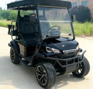 Customized Street Legal Electric Golf Cart 4 Seater 48V Battery Lithium ion 5kW Motor