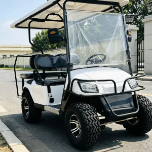 Customized Third Party Inspection 4 Seat Electric Golf Cart for Quality Sure