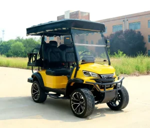 Customized Utility 48V Lithium Battery 5KW Motor 4 Seater Electric Golf Cart with AC Motor for Golf Course