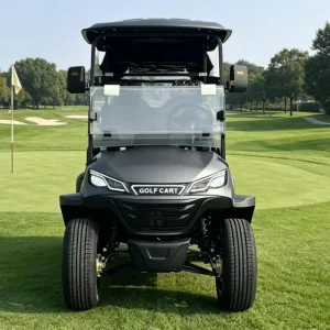 Customized Utility Golf Cart 2 Seater 48 Volt Electric Golf Cart with Foldable Windshield for Golf Course