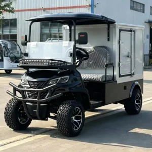 Customized Utility Golf Cart Street Legal Electric 2 Seats Truck Cart with Closed Carriage Bed Box