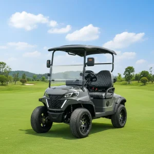 Customized Utility Golf Carts 2 Seater 48 Volt Electric Golf Cart with Foldable Windshield for Golf Course